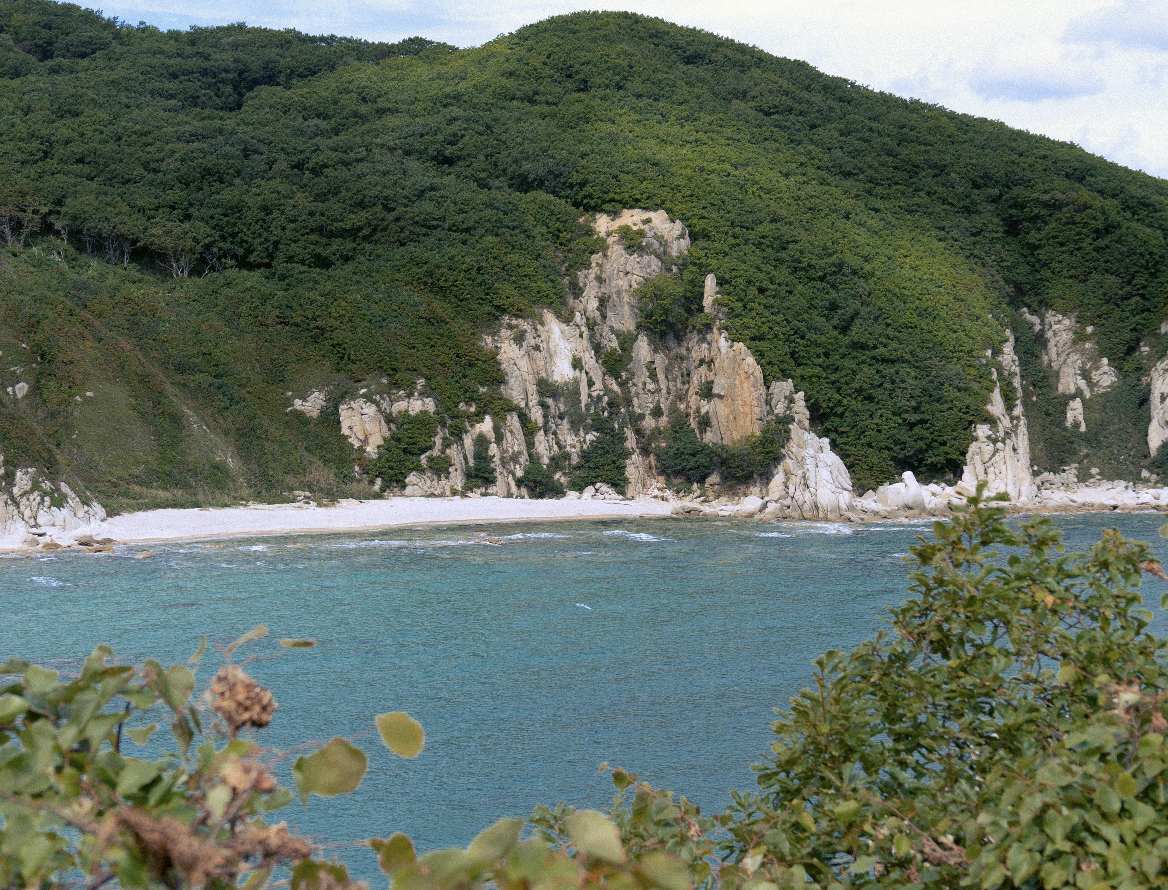 IMG_3482.jpg