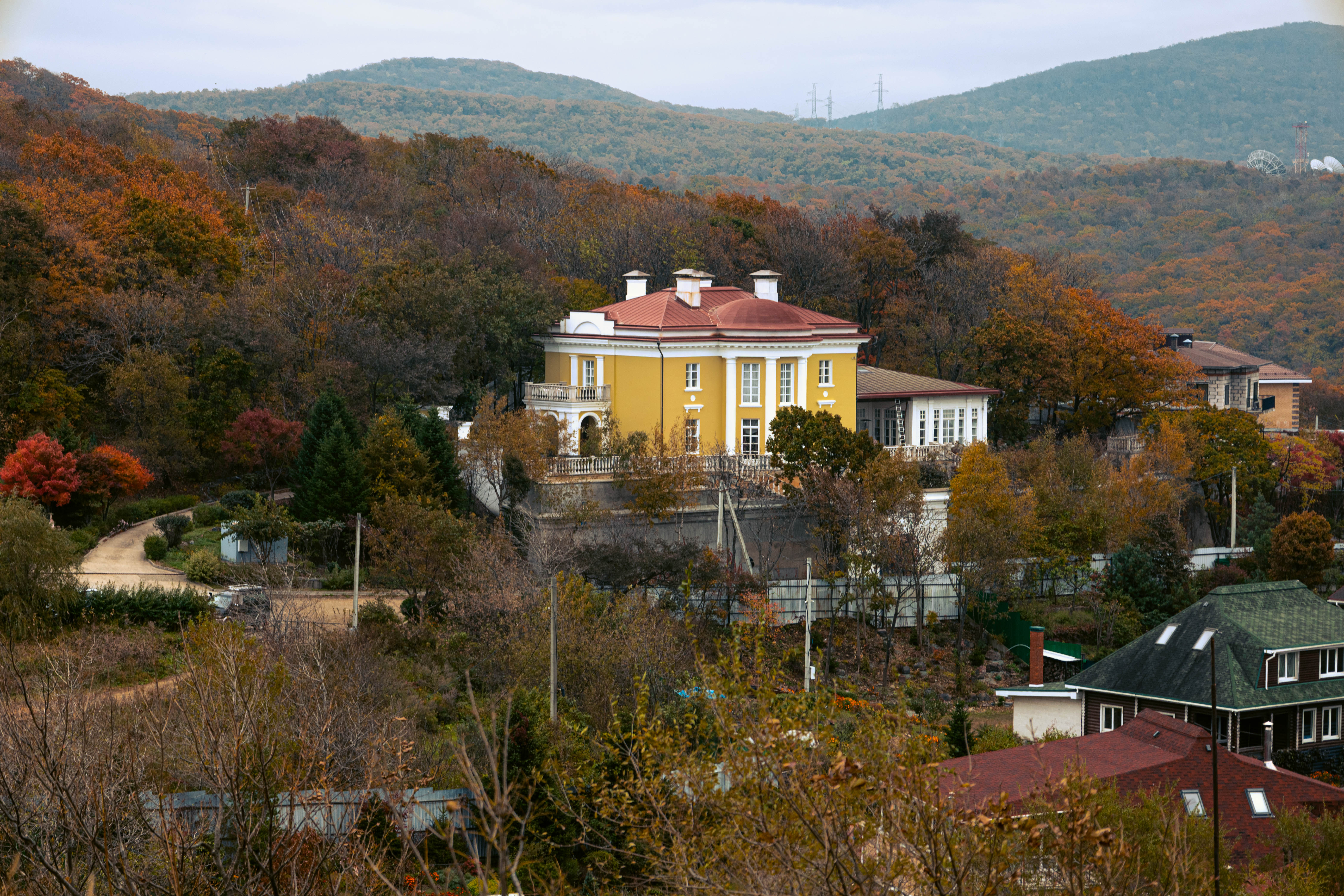 IMG_3731.jpg