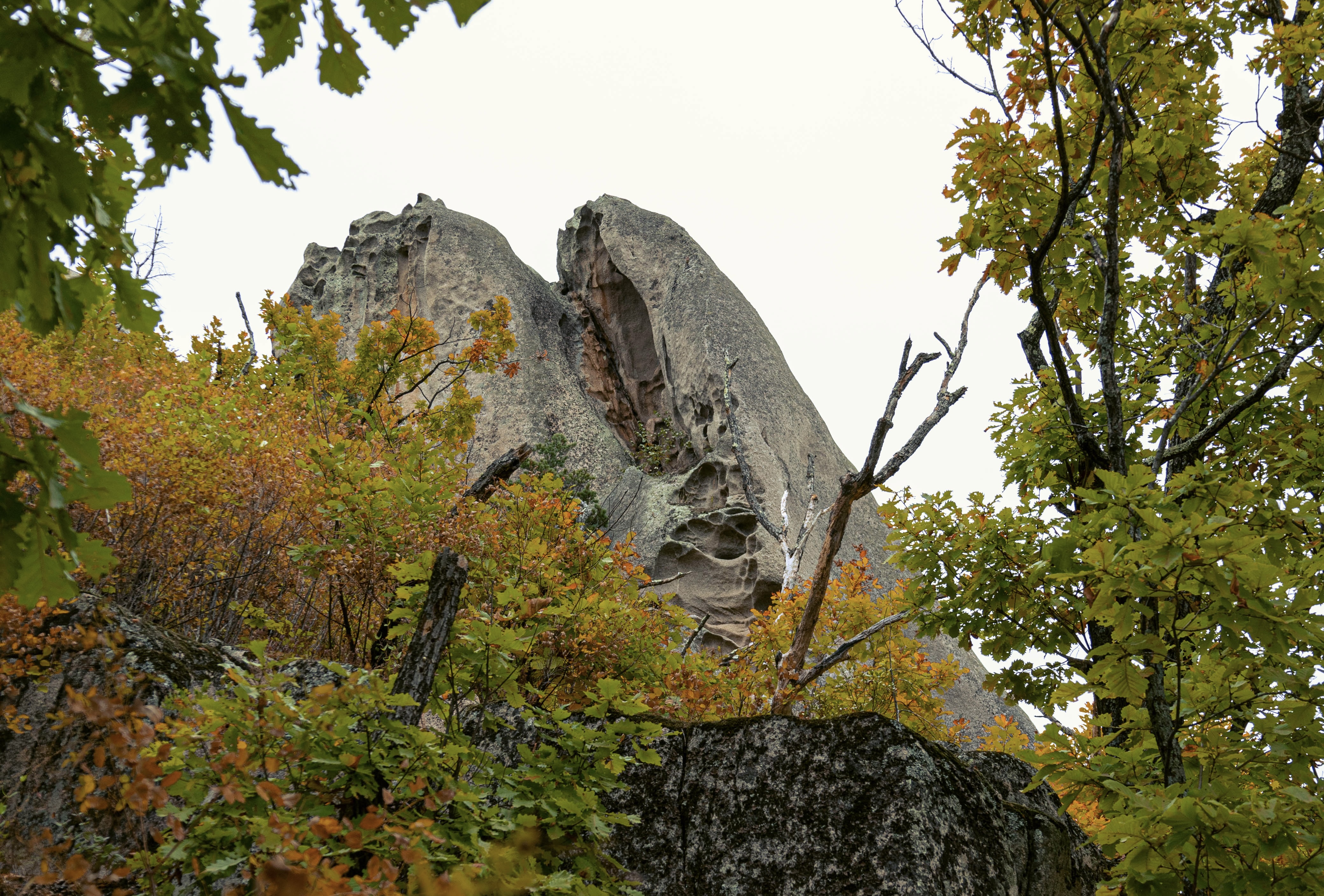 IMG_3709.jpg